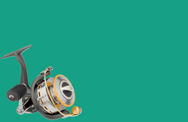 banner-2